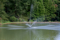 DSC_4710