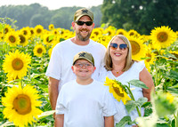 Bean family in Sunflowers